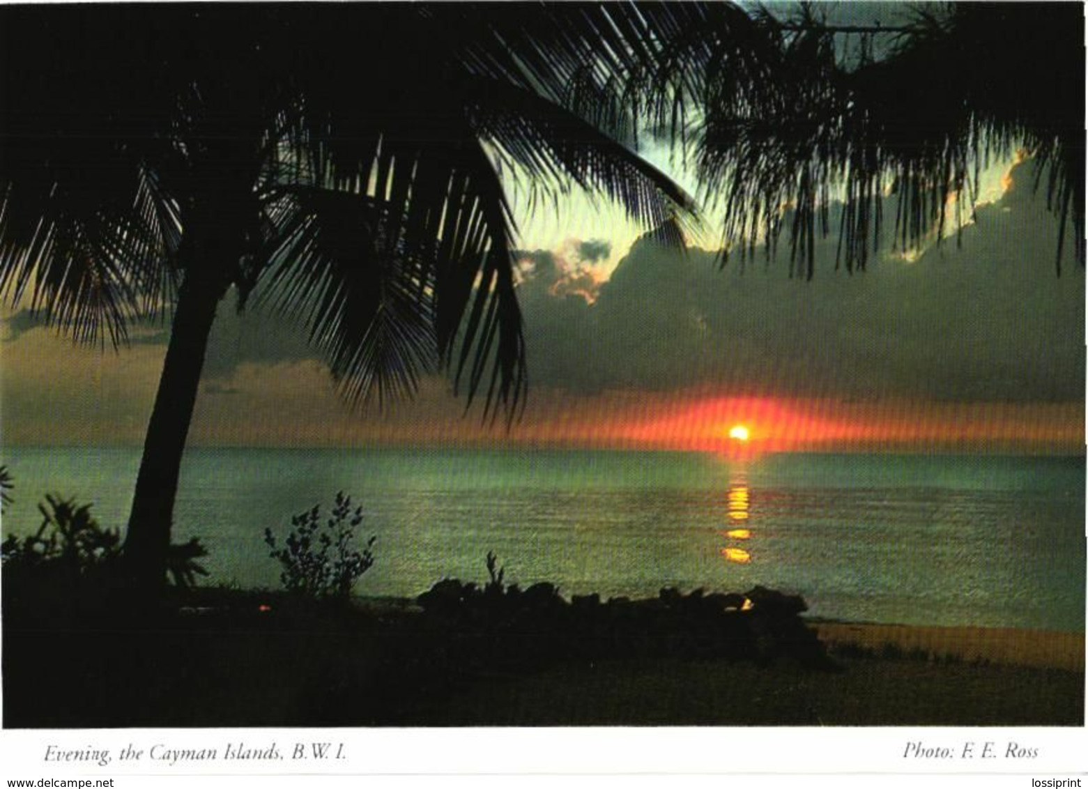 British West Indies:Cayman Islands, Evening - Caimán (Islas)