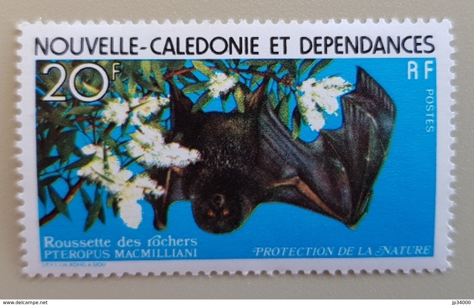 NOUVELLE CALEDONIE Chauve Souris, Bat, Muerciélago.  Yvert N° 421  ** MNH - Bats