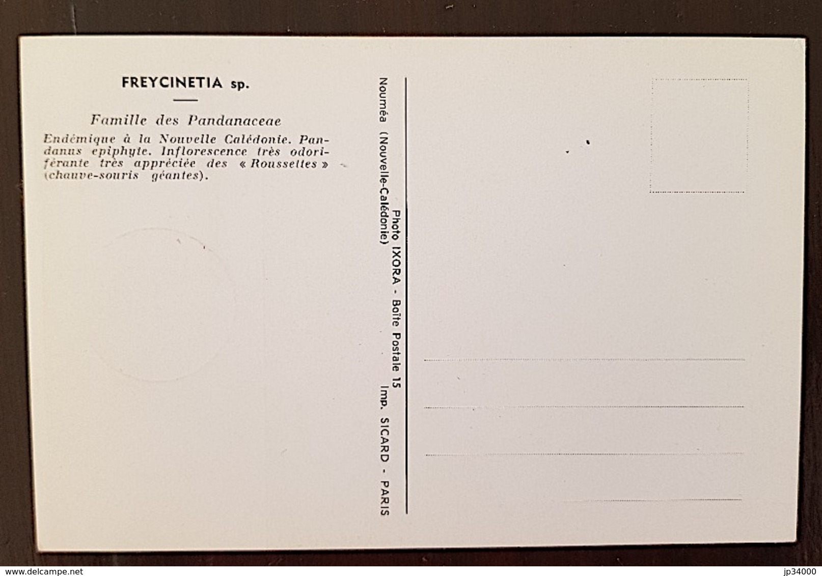 NOUVELLE CALEDONIE Chauve Souris, Bat, Muerciélago.Freycinetia. Yvert N°314 FDC, Carte Maximum - Murciélagos