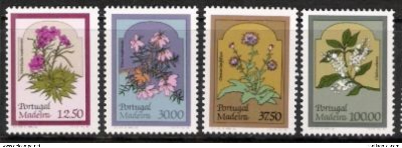 1983 - Flores Regionais Madeira** - Neufs