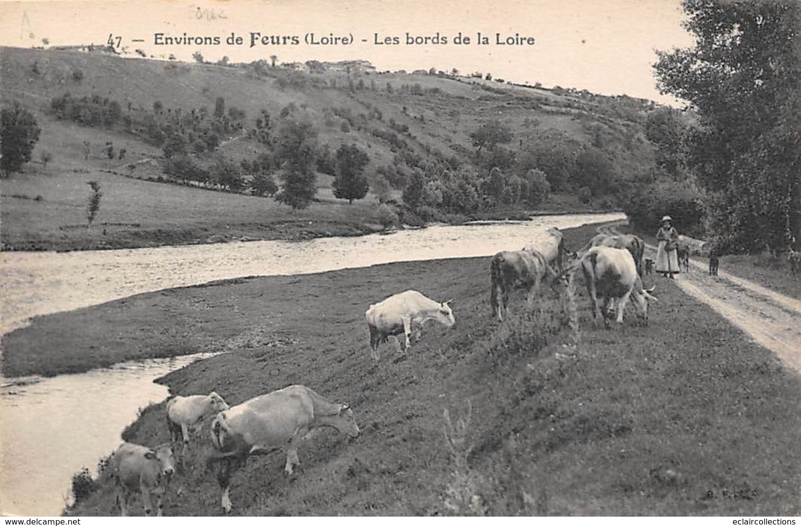 Feurs         42      Ou Environs. Les Bords De La Loire   . Gardienne De Vaches      (voir Scan) - Feurs