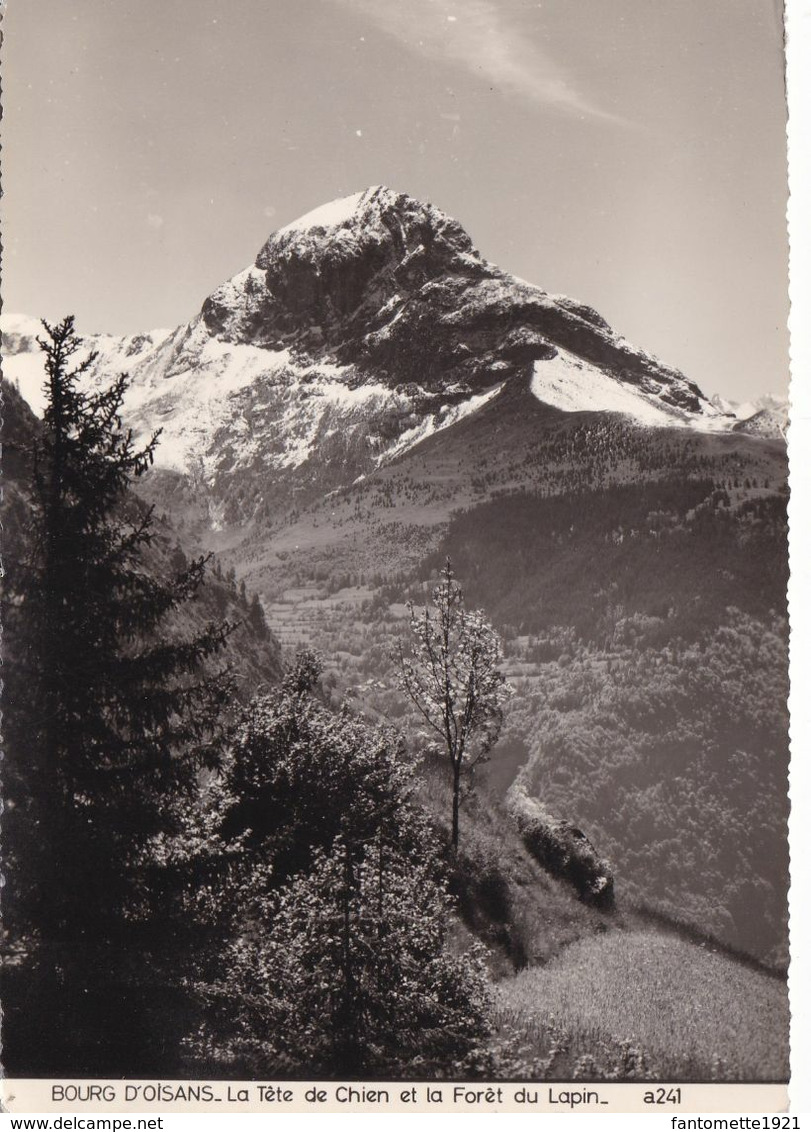 BOURG D'OISANS LA TETE DE CHIEN ET LA FORET DU LAPIN (dil471) - Other & Unclassified