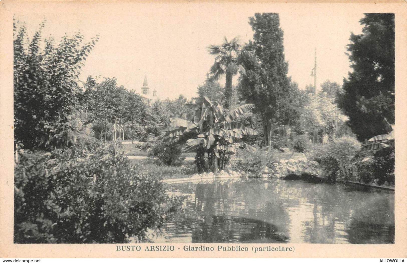 8737 " BUSTO ARSIZIO-GIARDINO PUBBLICO-(PARTICOLARE) "-CARTOLINA POSTALE ORIGINALE NON SPEDITA - Busto Arsizio