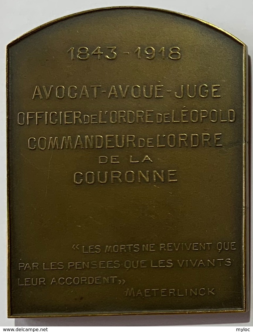 Médaille Bronze. Odilon Perier. Avocat Avoué - Juge. Officier De L'Ordre De Léopold. 1843-1918. J. Witterwulghe - Profesionales / De Sociedad