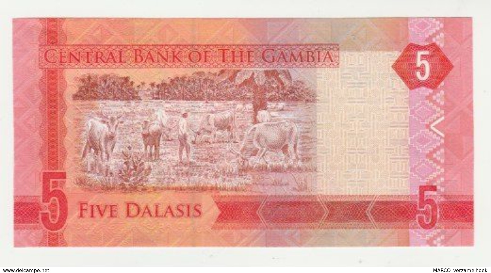 Central Bank Of The Gambia 5 Dalasis 2015 UNC - Gambie