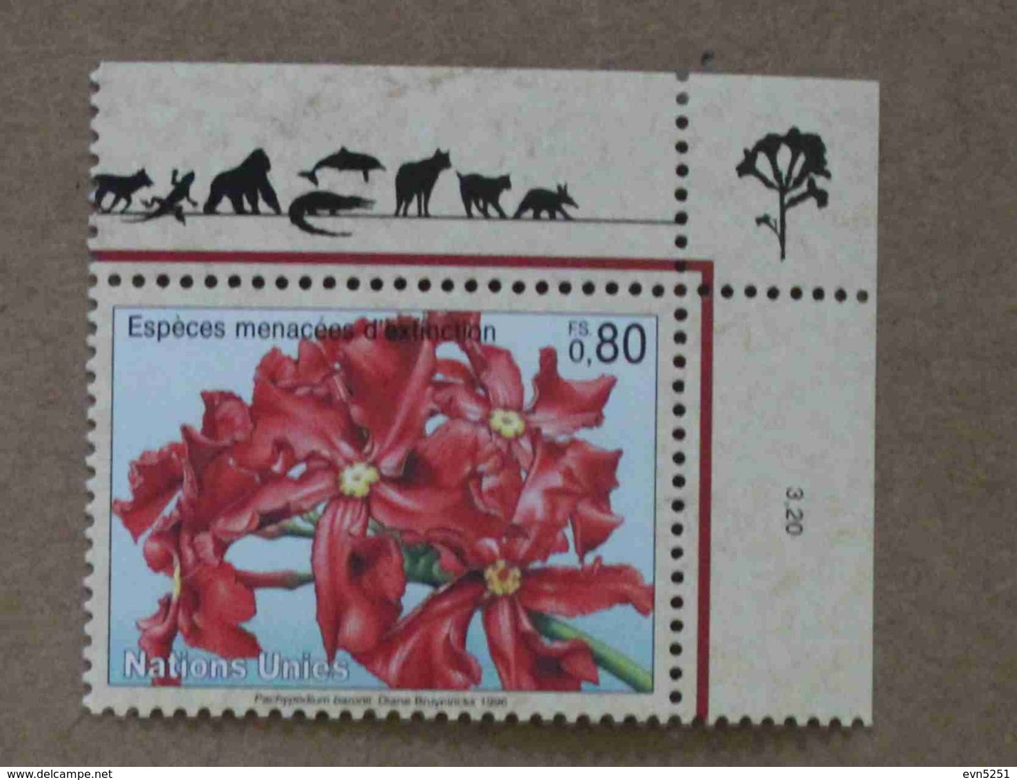 Ge96-01 : Nations-Unies (Genève) / Protection De La Nature - Pachypodium Baronii (Madagascar) - Nuovi