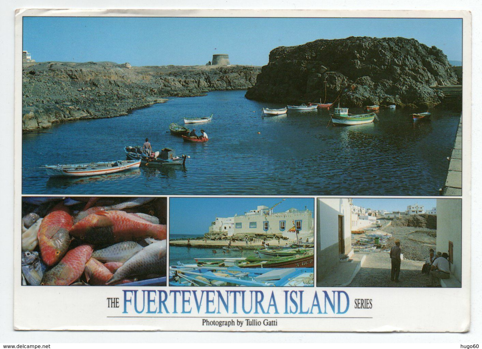 FUERTEVENTURA - ISLAND - Multivues - Fuerteventura