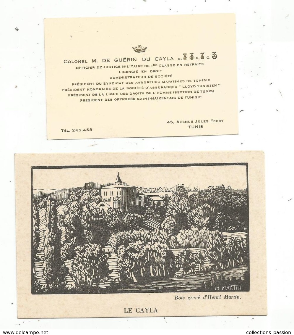 Carte De Visite Du Colonel M. DE GUERIN DU CAYLA( Tunis) + Carte Postale Du Chateau Familial, Tarn, Bois Gravé H. Martin - Cartoncini Da Visita