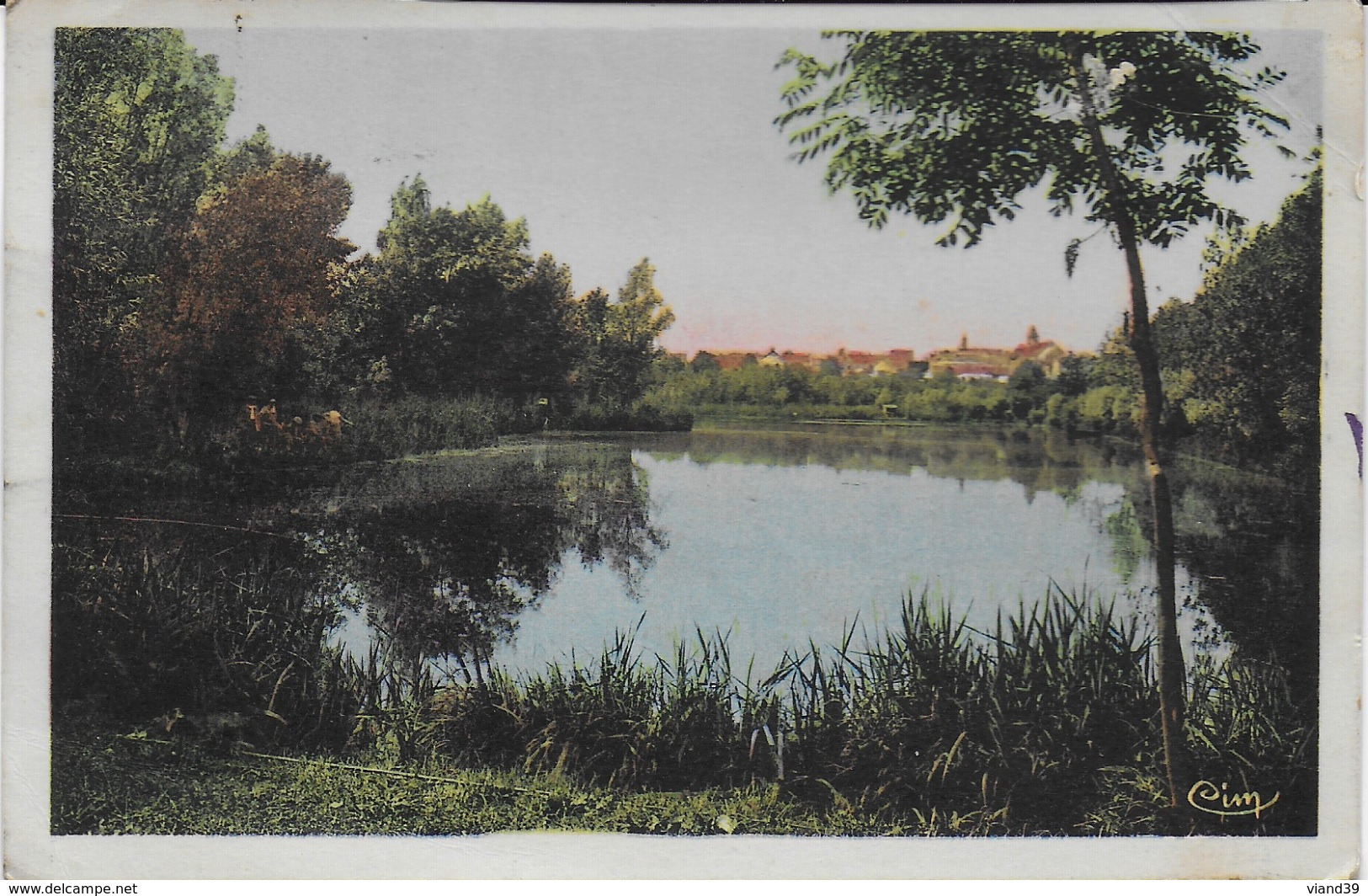 Vert Le Petit - Les étangs - Vert-le-Petit