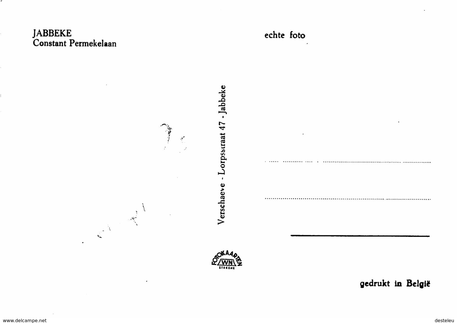 Constant Permekelaan - Jabbeke - Jabbeke