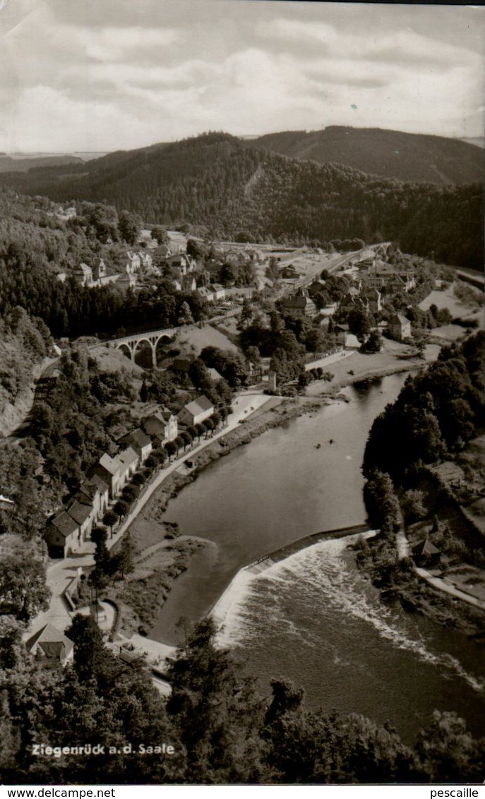 THURINGE - CP ZIEGENRÜCK A. D. SAALE - BLICK VOM SCHLOSSBERG - BILDVERLAG PHOTO KÖNIG Nr 7 - CIRCULEE EN 1965 - Ziegenrück