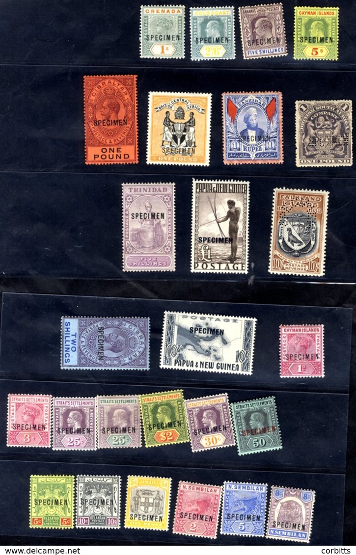 BRITISH COMMONWEALTH SPECIMEN OVERPRINTS Range On Stock Cards Of 60 Stamps. Highlights Incl. Gibraltar 1912-24 £1 (SG.85 - Andere & Zonder Classificatie