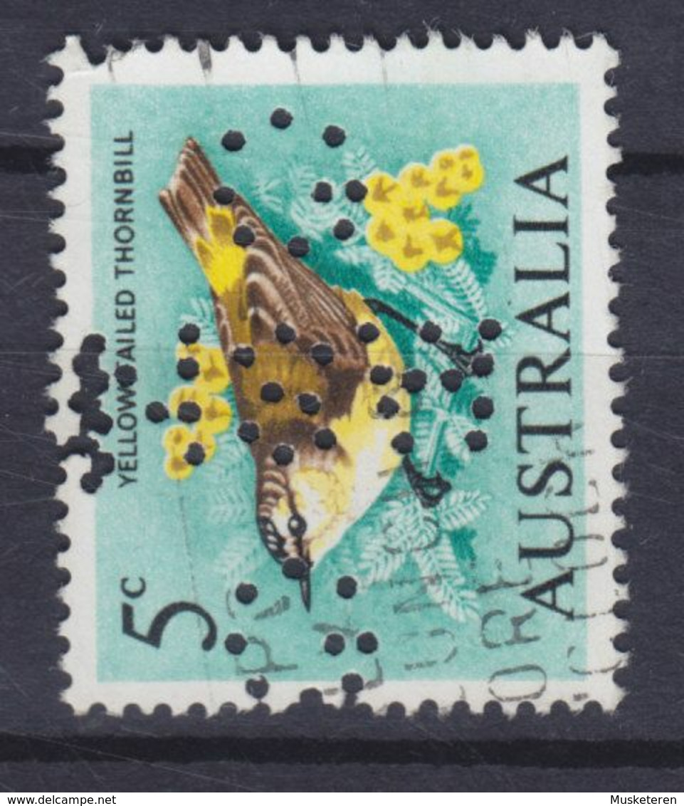 Australia Perfin Perforé Lochung 'G NSW G' 1966 Mi. 362, 5c. Bird Vogel Oiseau - Perforés