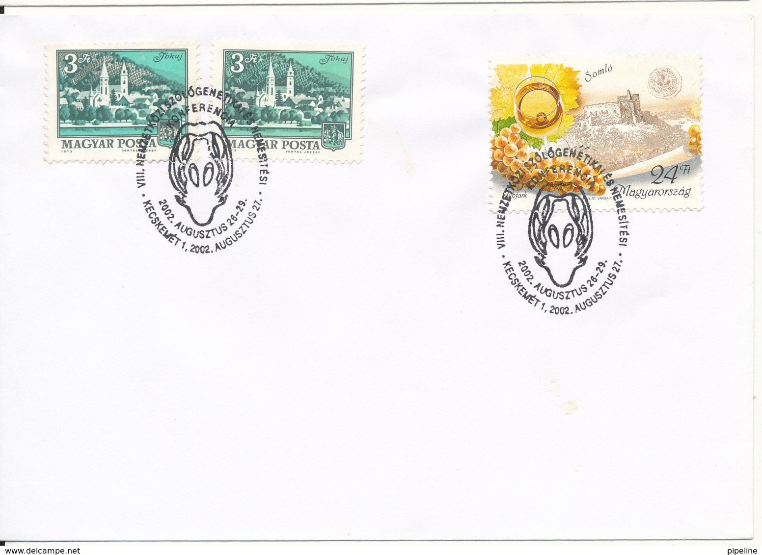 Hungary Cover With Special Postmark Kecskemet 27-8-2002 - Cartas & Documentos