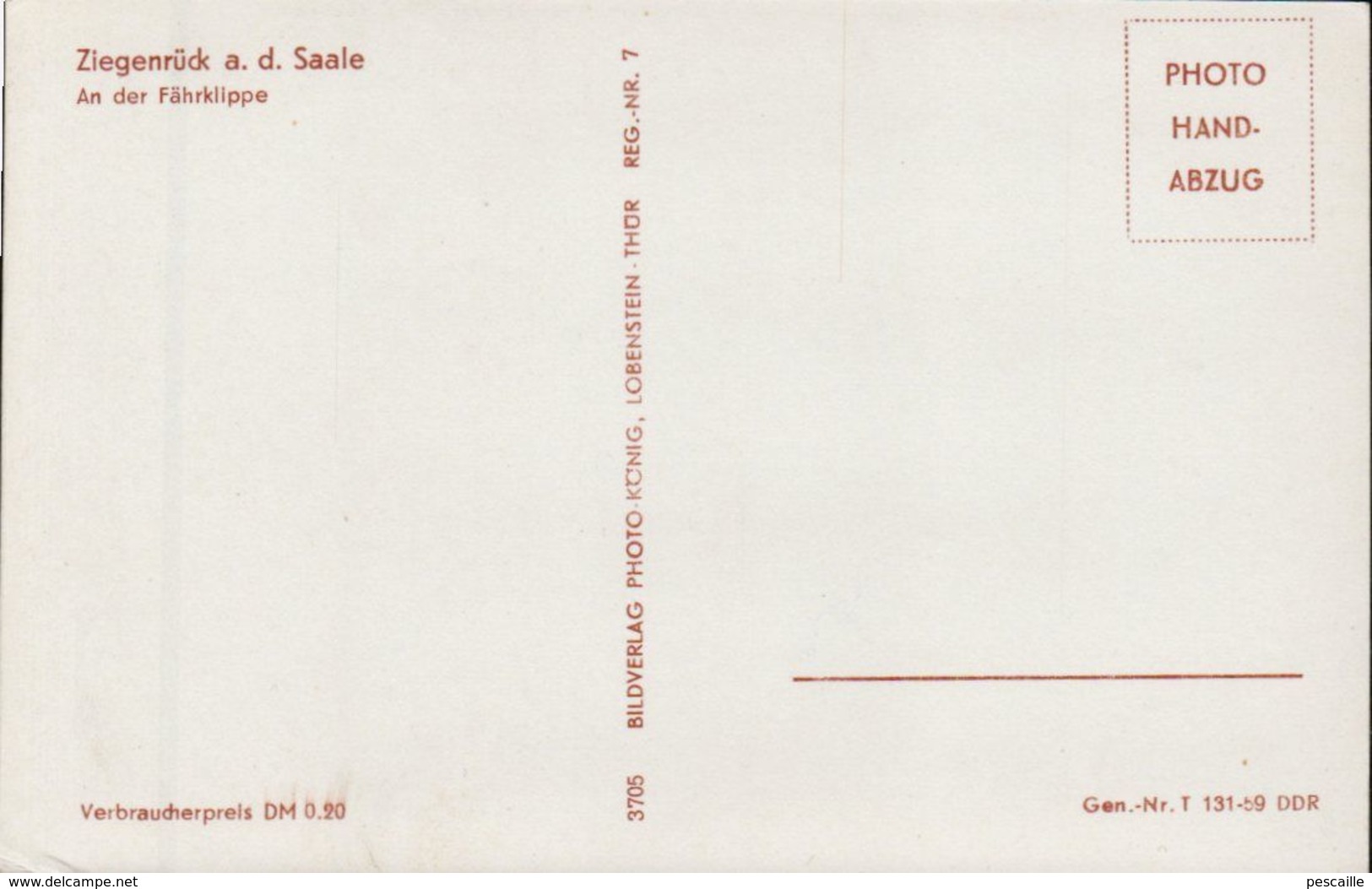 THURINGE - CP ZIEGENRÜCK A. D. SAALE - AN DER FÄHRKLIPPE - BILDVERLAG PHOTO KONIG LOBENSTEIN Nr 3705 - Ziegenrück