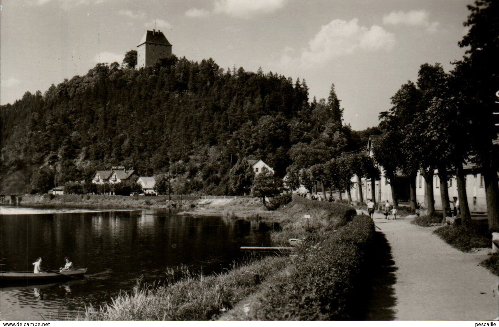 THURINGE - CP ZIEGENRÜCK A. D. SAALE - Dr. REIF PROMENADE - BILDVERLAG PHOTO KONIG LOBENSTEIN Nr 4216 - Ziegenrück