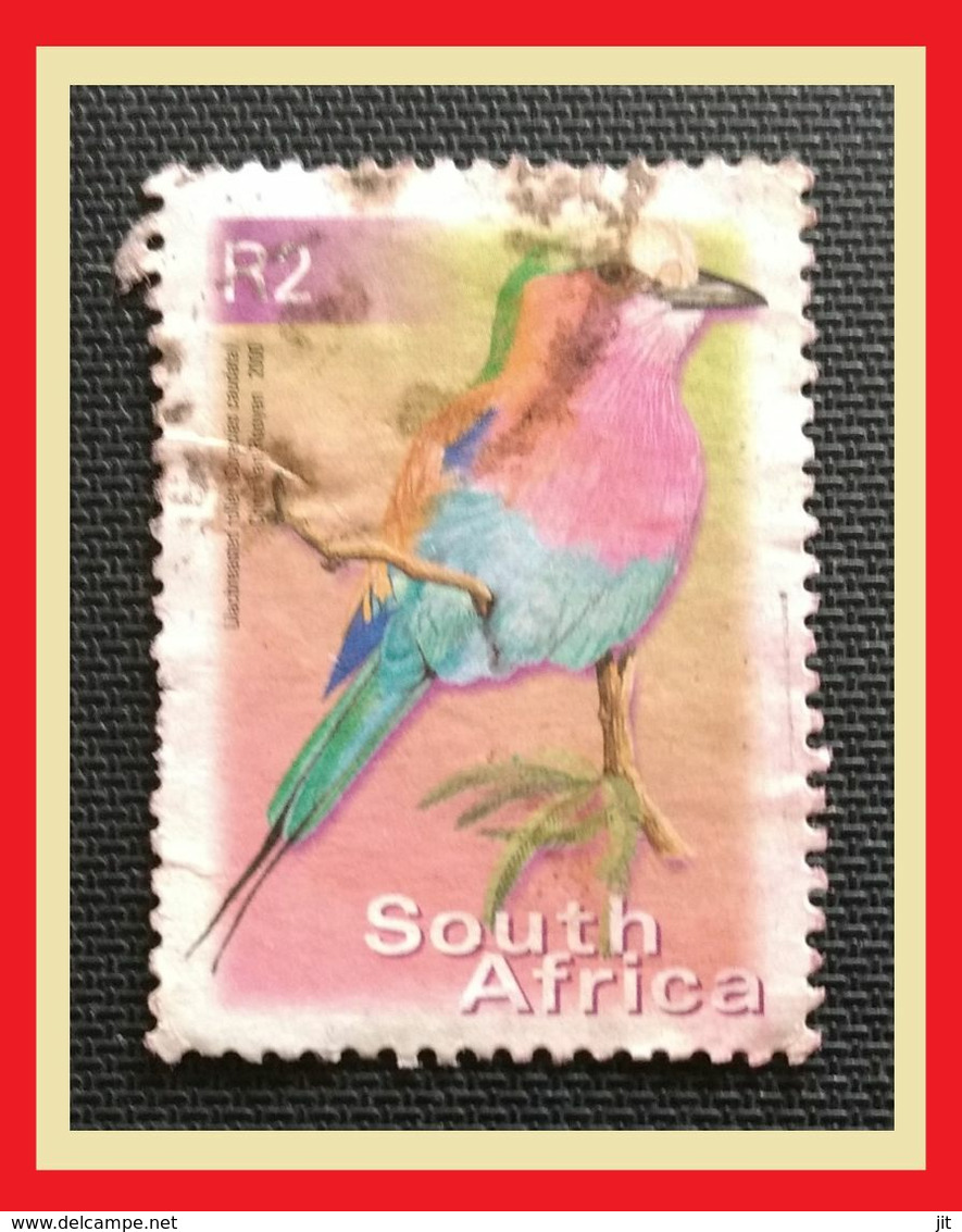 113. SOUTH AFRICA USED STAMP BIRDS   . - Usati