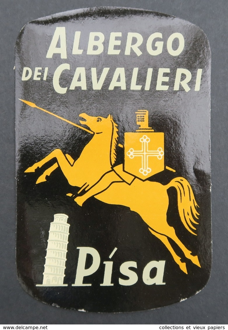 Ancienne étiquette Bagage Malle Valise HOTEL ALBERGO DEI CAVALIERI PISA PISE Old Original Luggage Label - Hotel Labels