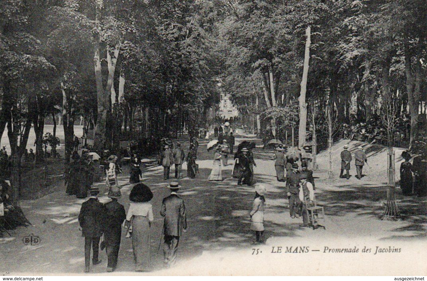 Le Mans Promenade Aux Jacobins - Le Mans