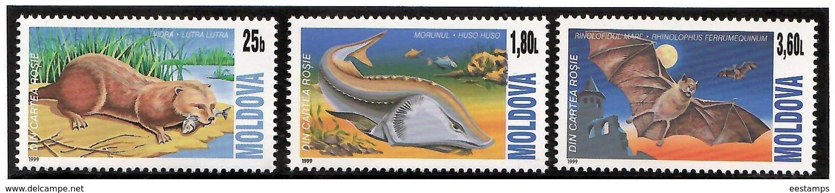 Moldova 1999 . Fauna: Otter, Fish, Bat. 3v: 25b, 1.8L, 3.6L.   Michel # 337-39 - Moldavie