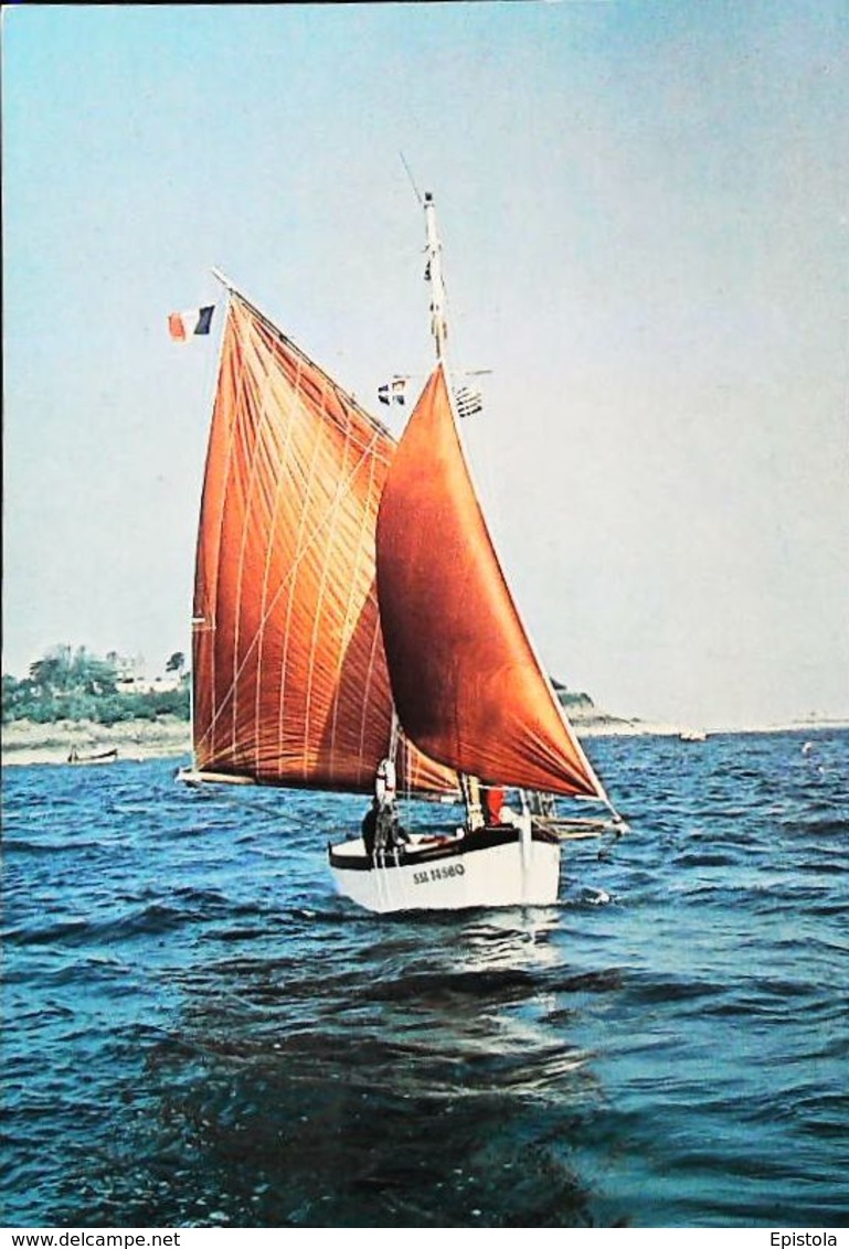 SAINT MALO - Bateau Sloop De Pêche Maquereautier " Le TOXON III " (Vieux Gréement - Old Sailing Boat Or Fishing Ship) - Fischerei