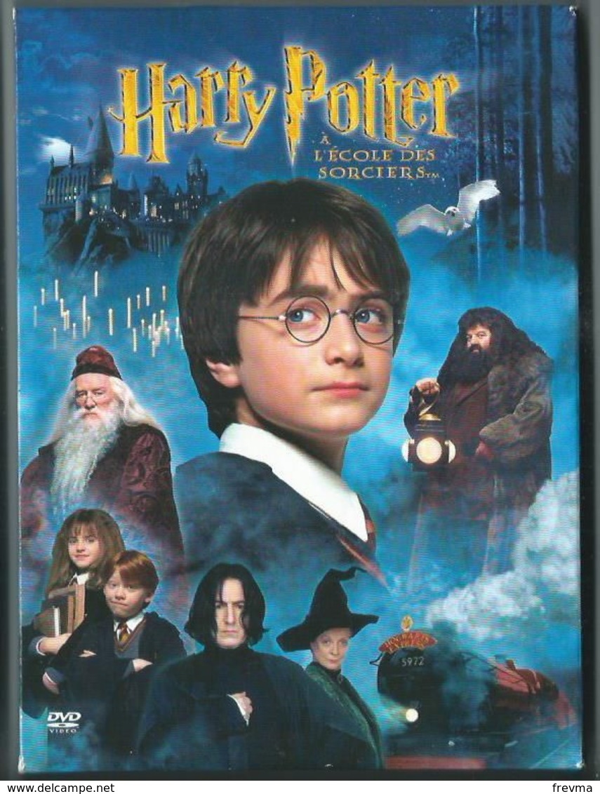 Coffret Dvd Harry Potter A L'ecole Des Sorciers - Fantascienza E Fanstasy