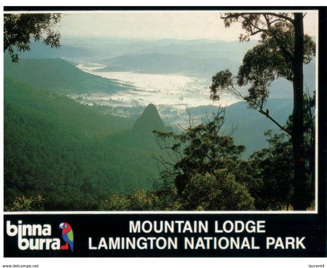 (G 2) Australia - QLD - Binna Burra Mountains - Sunshine Coast