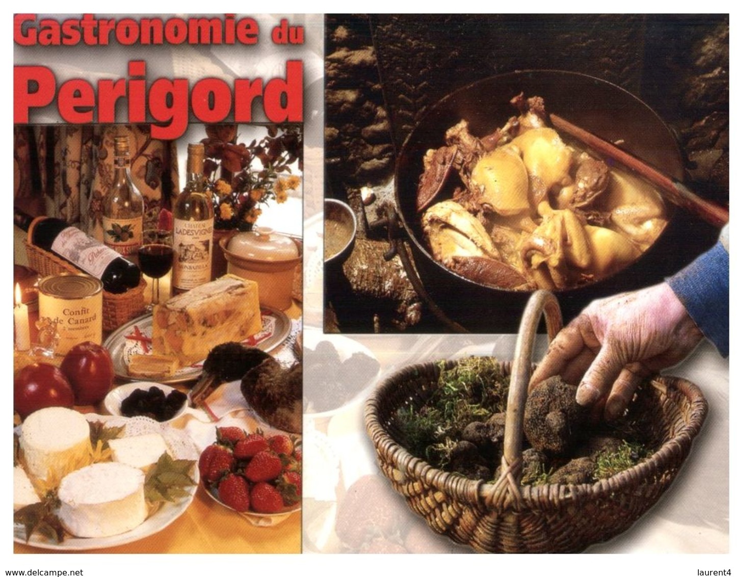 (G 5) France-0 Truffe Du Périgord - Truffles Mushroom - Hongos