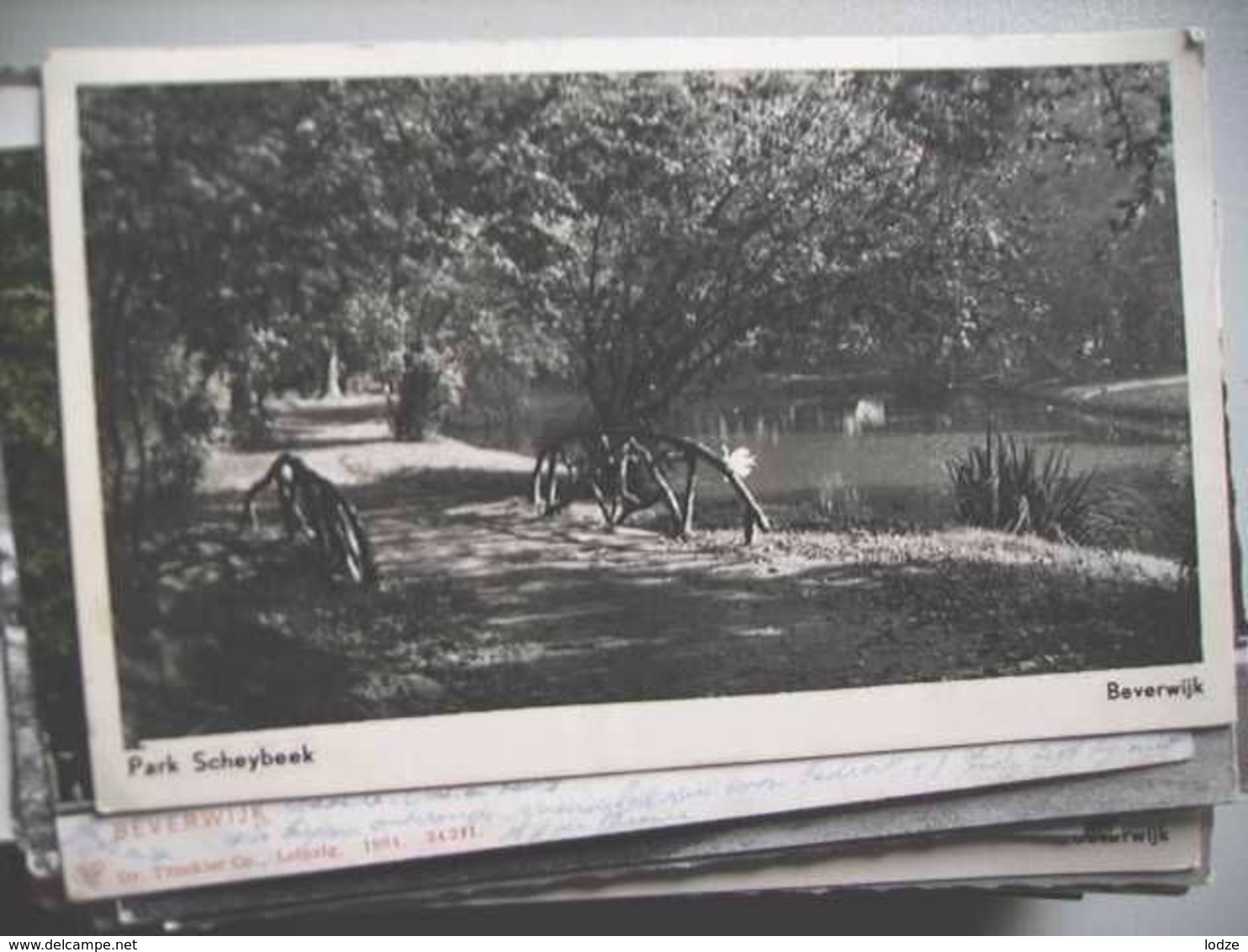 Nederland Holland Pays Bas Beverwijk Met Parkfoto Scheybeek - Beverwijk