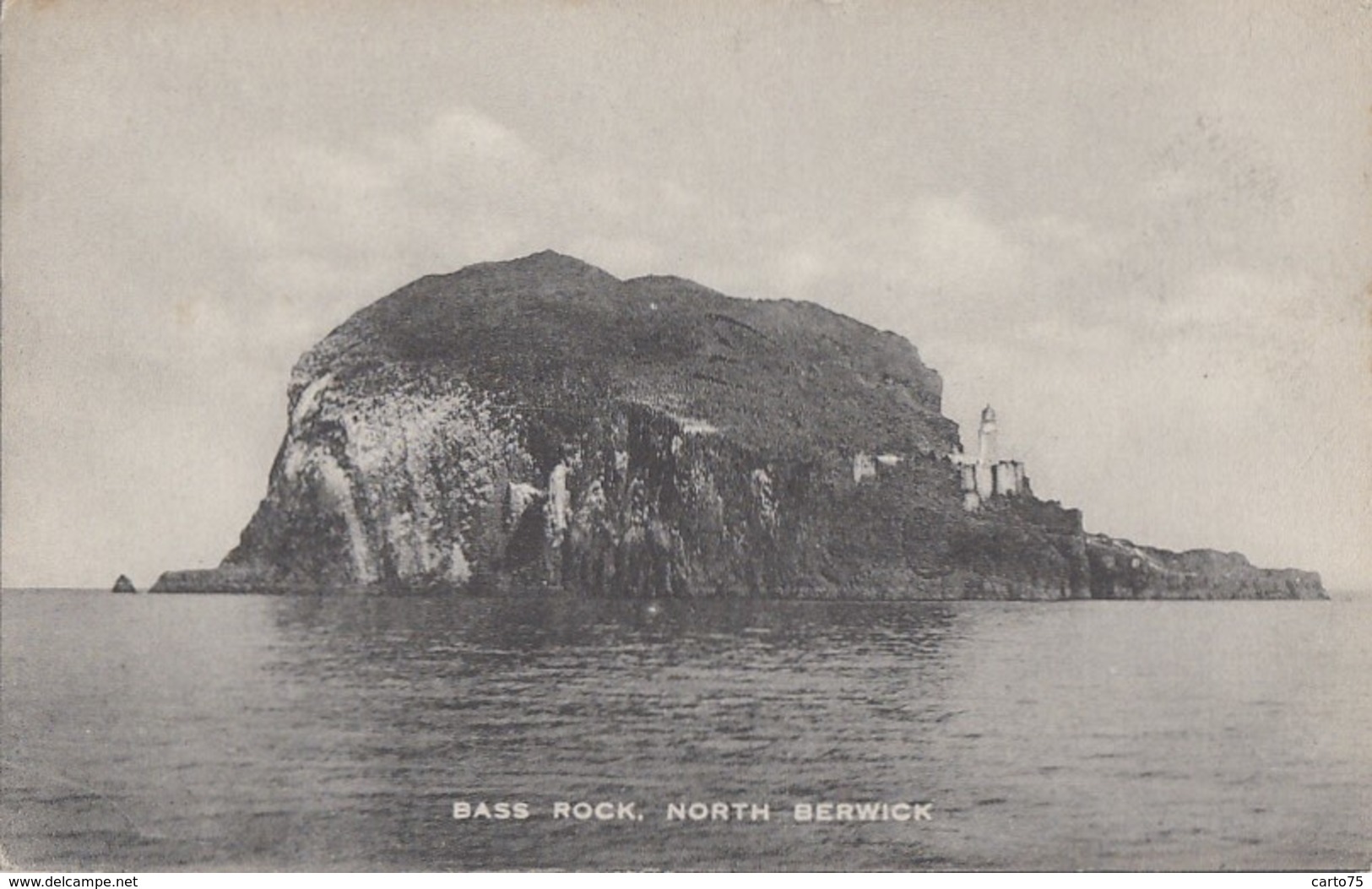 Royaume-Uni - Scotland - North Berwick - Bass Rock - Creag Nam Bathais - Am Bas - Ile Inhabitée - East Lothian