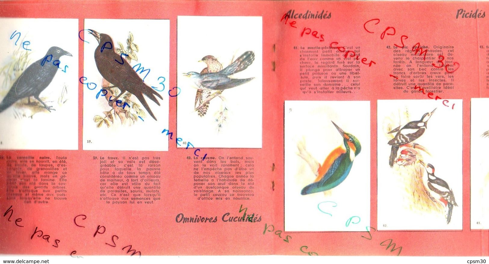 Album Chromo - 032A - Oiseaux De Nos Pays - édition Nowo Et Vache Grosjean - Albumes & Catálogos
