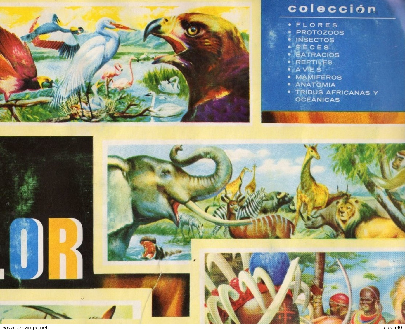 Album Chromo - 033 - VIDA & COLOR - Scolaires