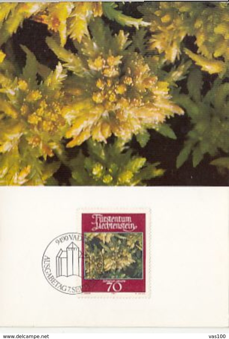 PLANTS, BLUNT LEAVED BOGMOSS, CM, MAXICARD, CARTES MAXIMUM, OBLIT FDC, 1981, LIECHTENSTEIN - Otros & Sin Clasificación