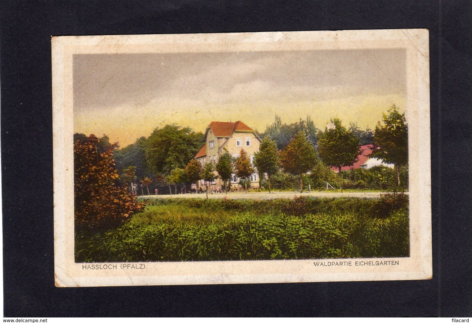 95096    Germania,  Hassloch,  Pfalz,  Waldpartie  Eichelgarten,  NV(scritta) - Hassloch