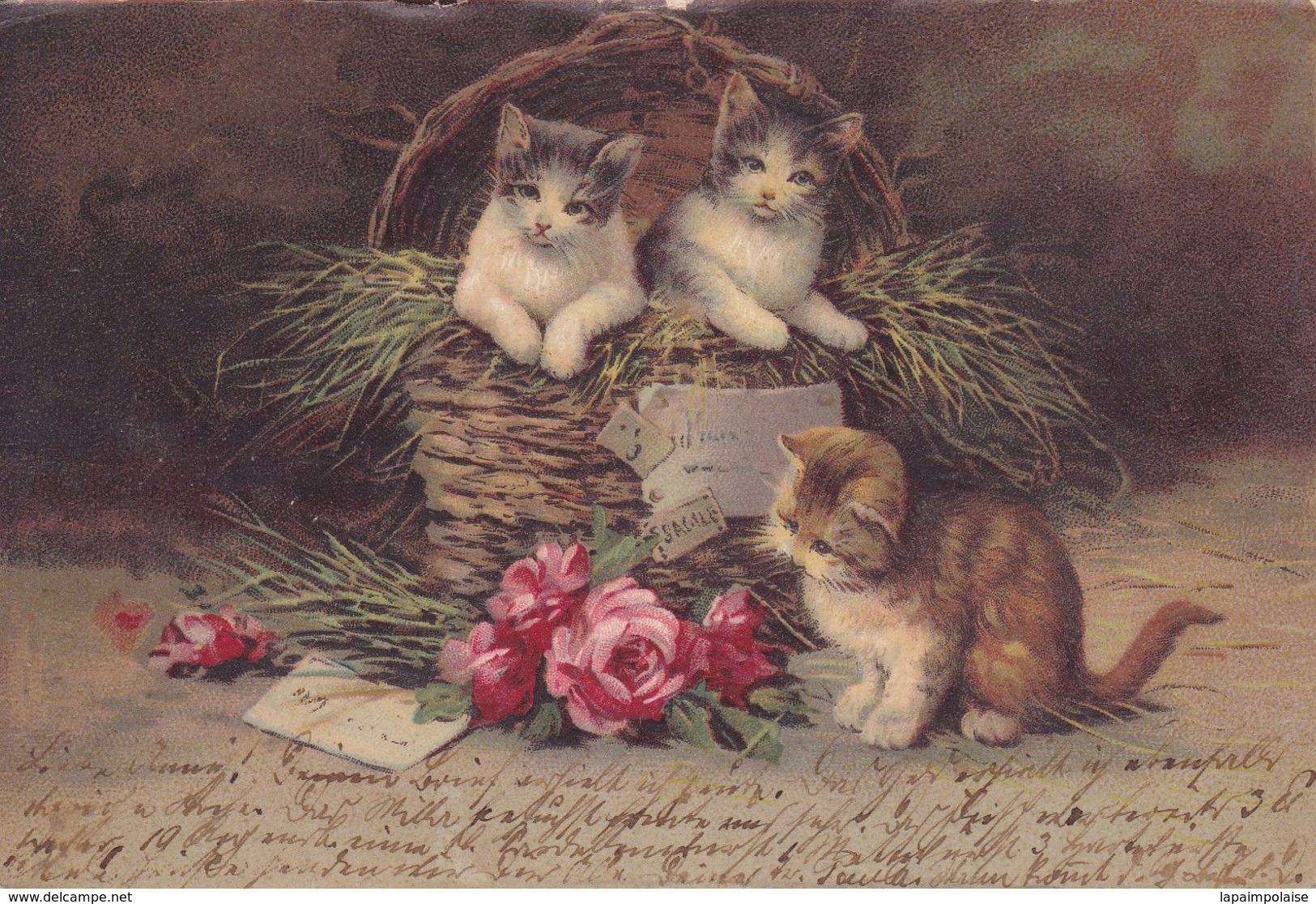 Cartes Postales Thèmes Illustrateur Chats Dans Un Panier Avec Des Roses Precurseur  19003 - Zsolt