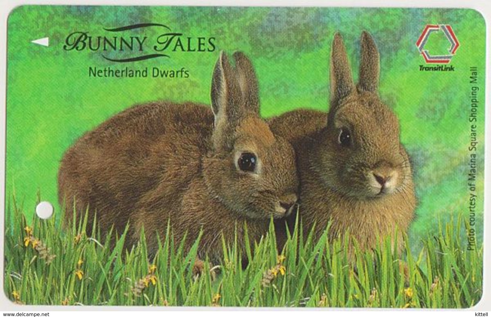 Singapore Old Subway Train Bus Ticket Farecard Transitlink Used Rabbit Netherlands Dwarf - Lapins