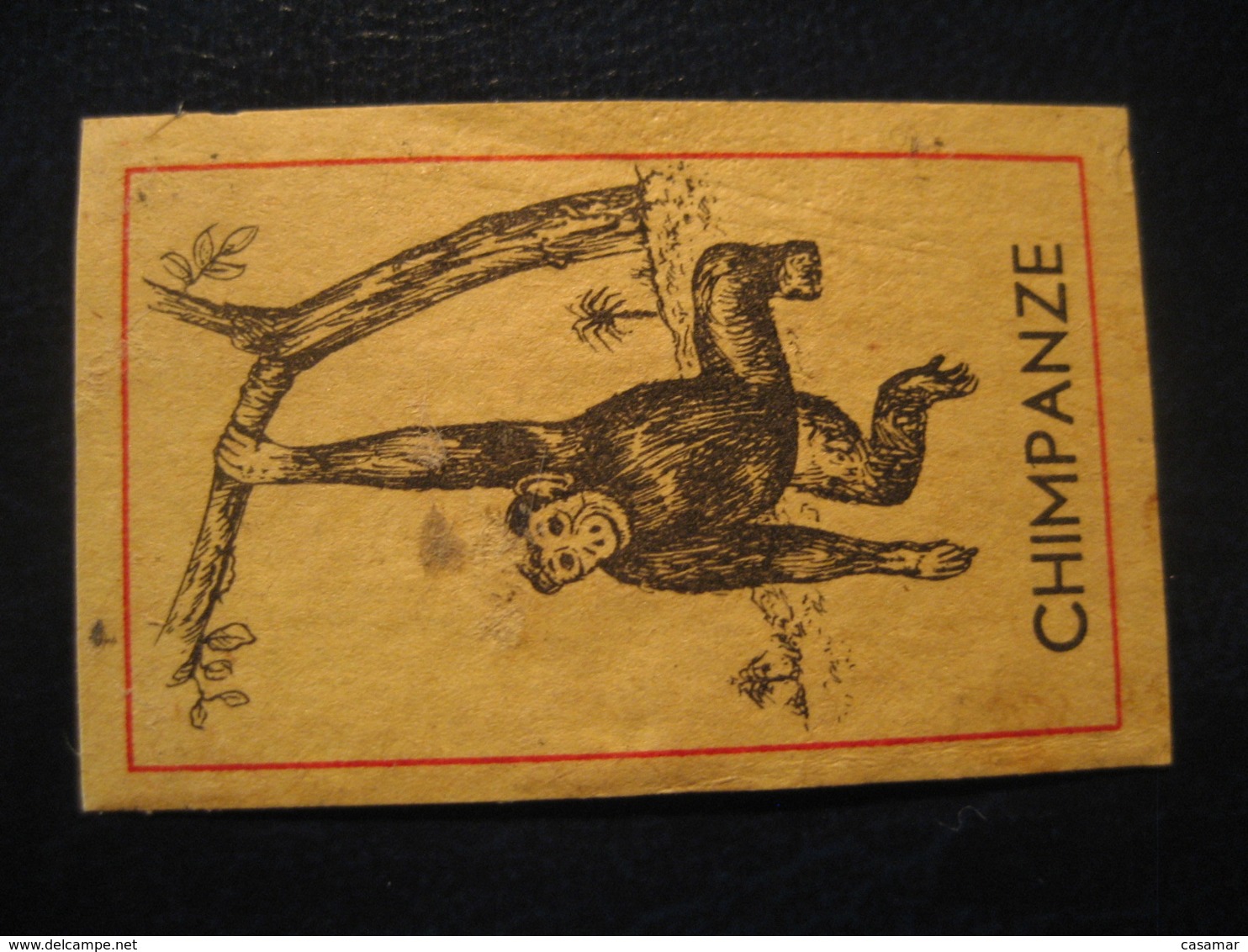 Chimpanzee Chimpanzees Chimpanze Chimpanzes Poster Stamp Vignette NETHERLANDS HOLLAND Label Mammal Mammals - Chimpanzees