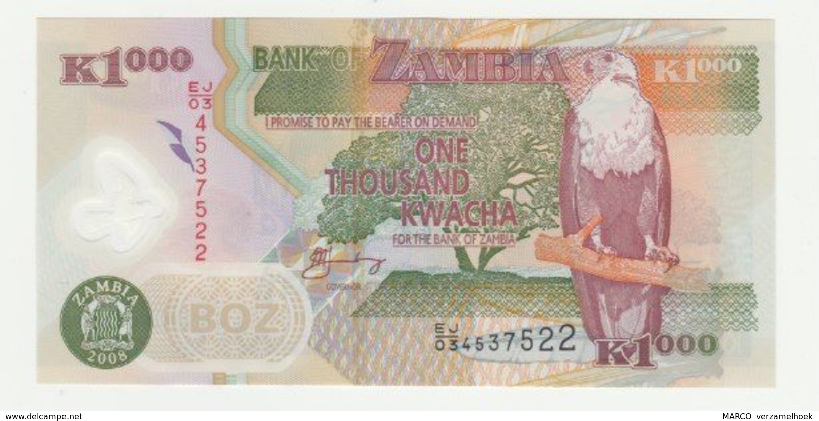 Bank Of Zambia 1000 Kwacha 2008 UNC (polymar) - Sambia
