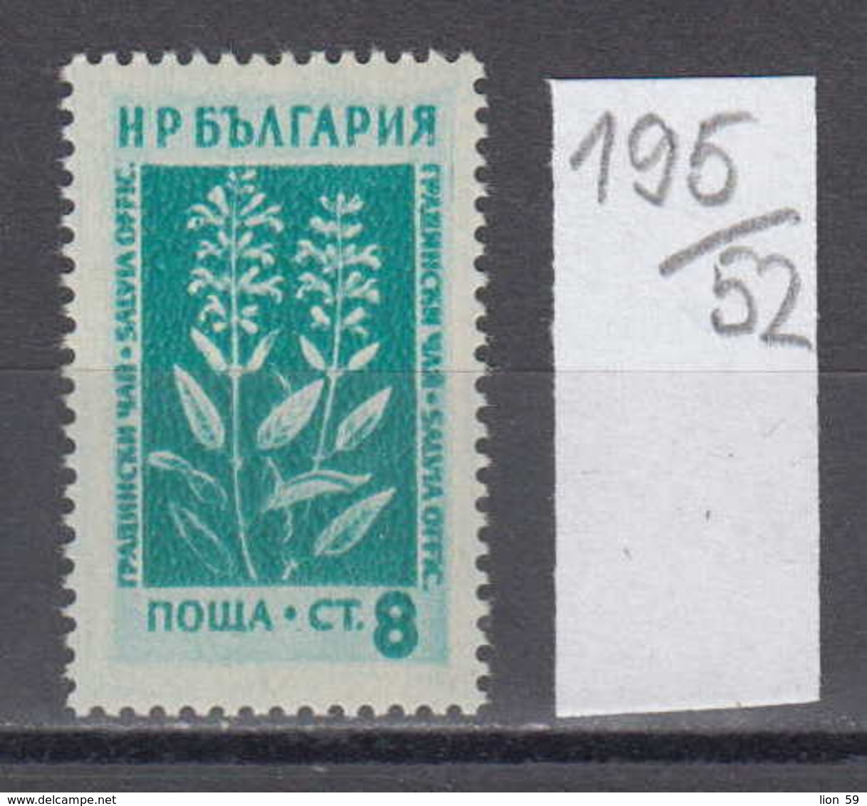 52K195 / 916 Bulgaria 1953 Michel Nr. 874 - Sage , Salvia Is The Largest Genus Of Plants  Mint Family  , Medical Plant - Medicinal Plants