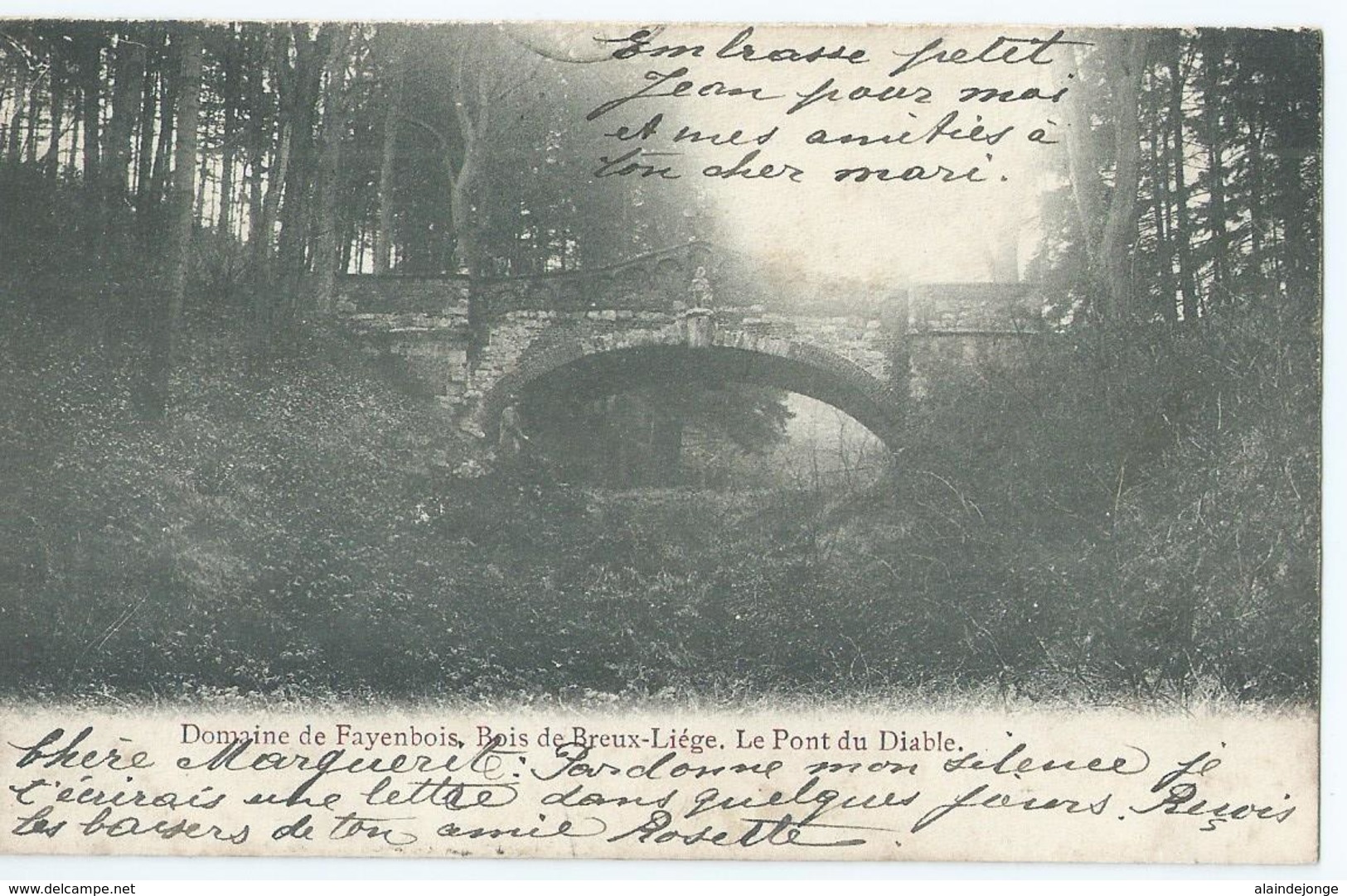 Domaine De Fayenbois, Bois De Breux-Liège. - Le Pont Du Diable - Etabl's Des Arts Graphiques, Herstal - Beyne-Heusay