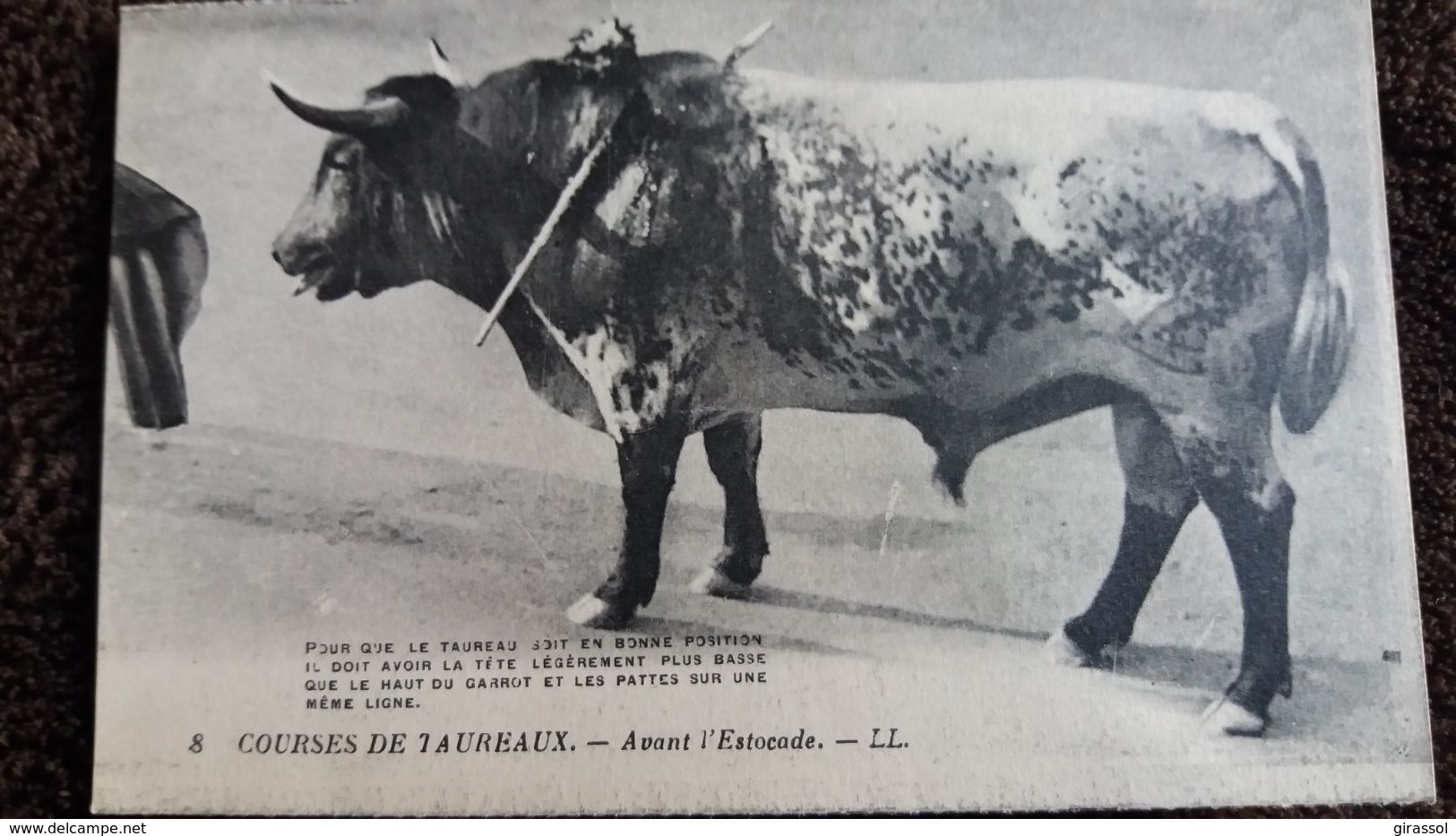 CPA COURSES DE TAUREAUX AVANT L ESTOCADE 8 ND ED LEVY POUR BONNE POSITION DU TAUREAU - Tauri