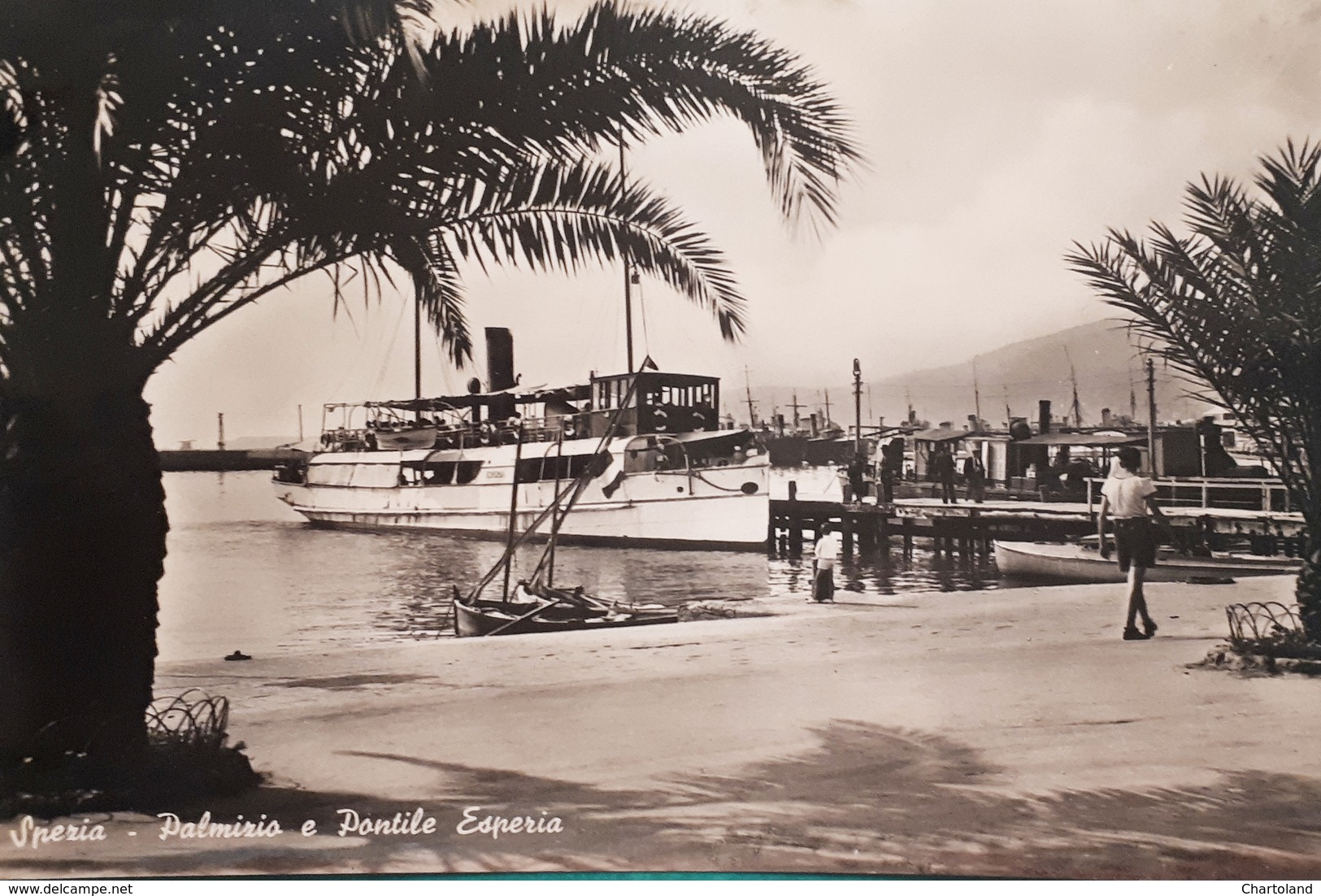 Cartolina - Spezia - Palmizio E Pontile Esperia - 1951 - La Spezia