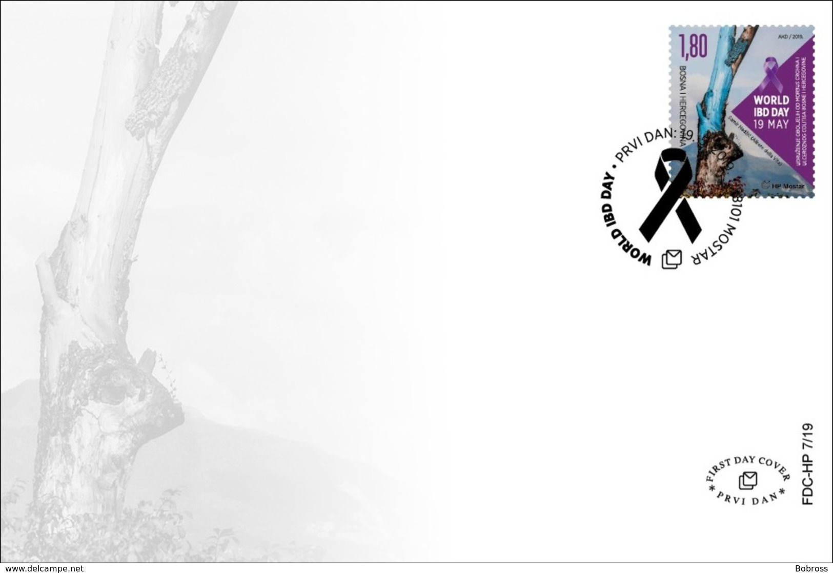 2019 FDC, World IBD Day, Mostar, Bosnia And Herzegovina - Bosnie-Herzegovine