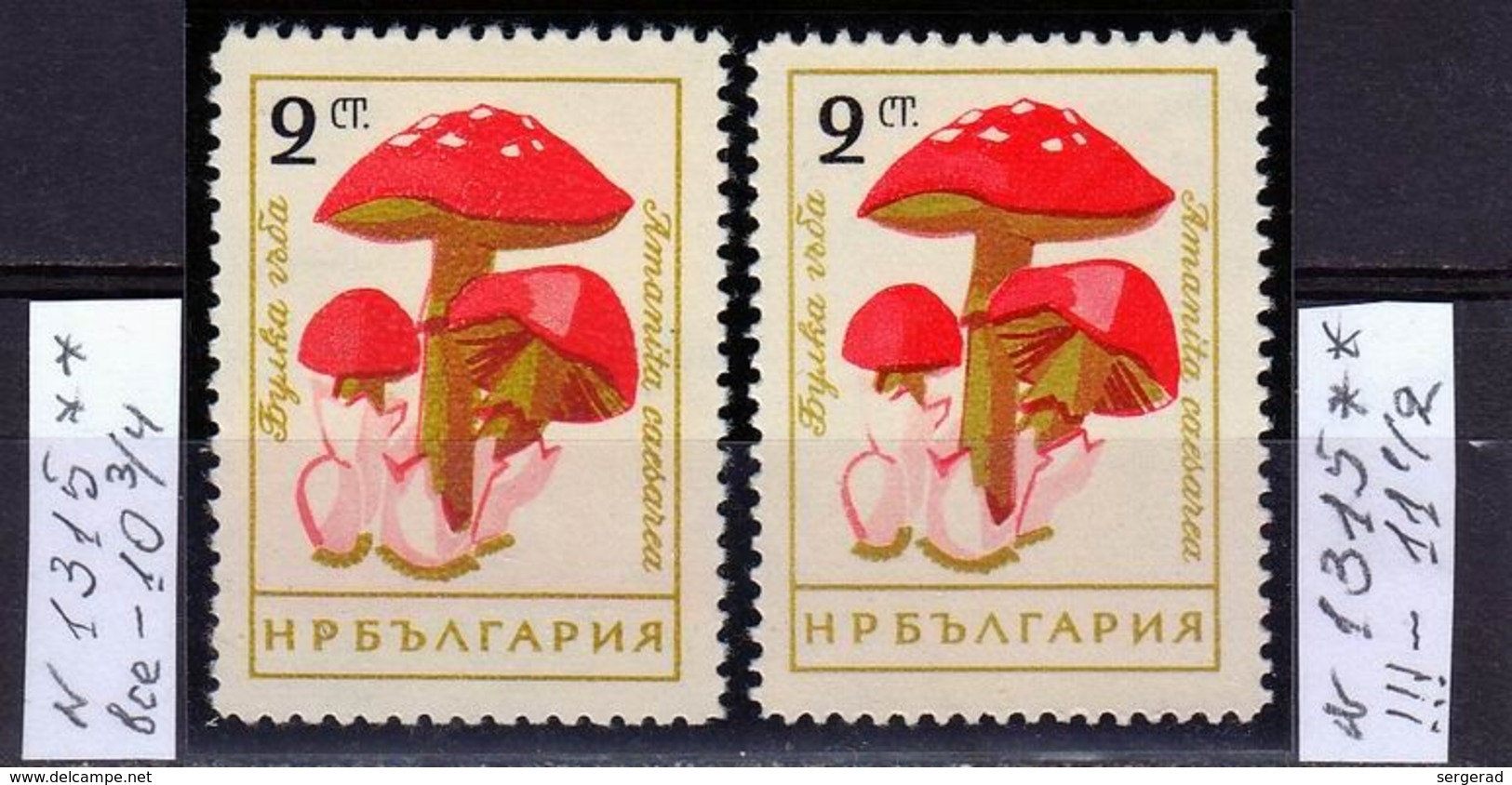 Bulgaria-1961, Mi.1263, Mushrooms, Error Of Perf. (11,5 Instead Of 10,75), MNH** - Mushrooms