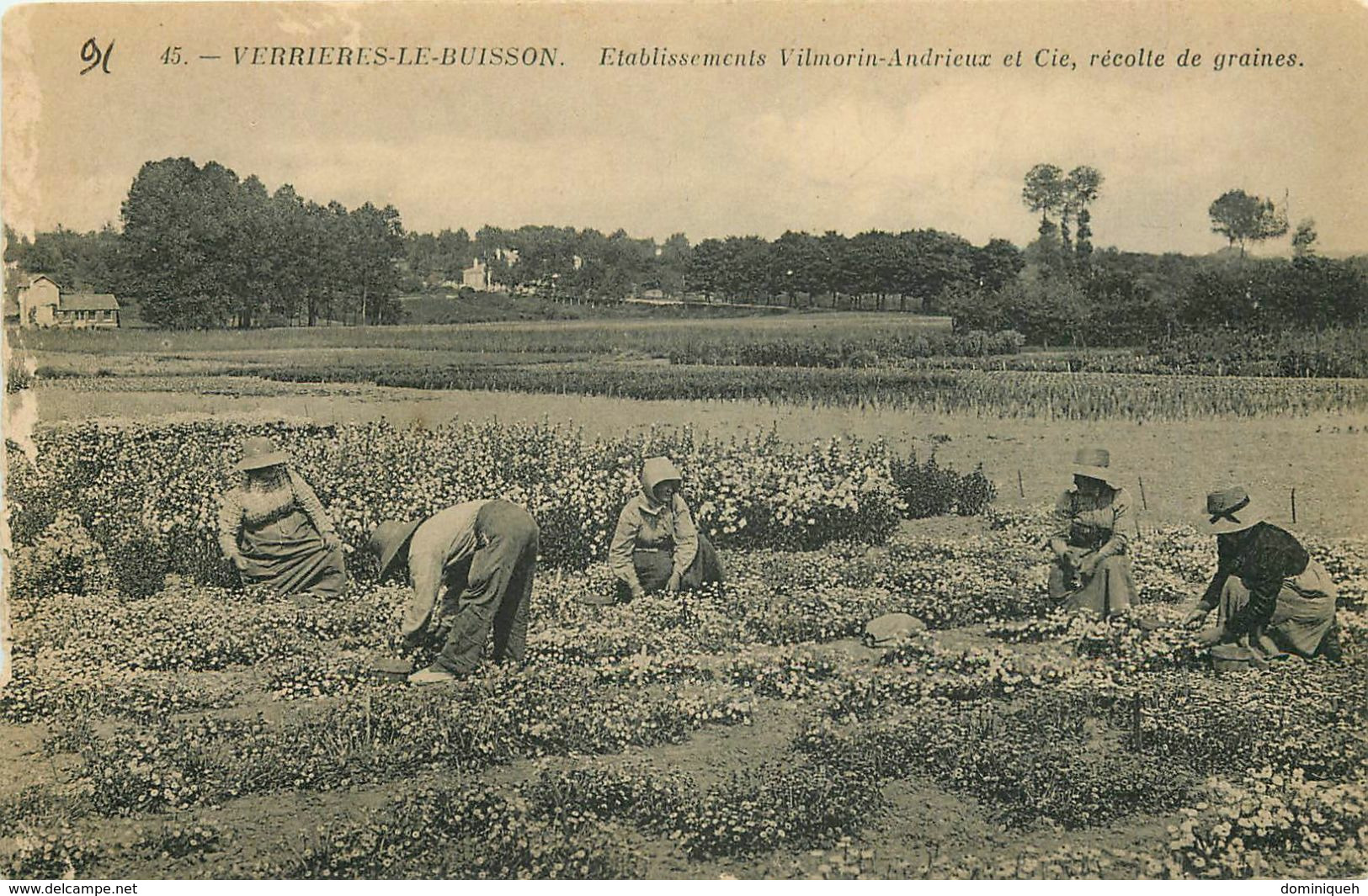 Lot de 50 CPA de l'Essonne 91 plusieurs animations