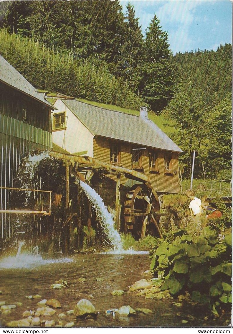 DE.-  FURTWANGEN - NEUKIRCH. MÜHLE Im HEXENLOCH - Furtwangen