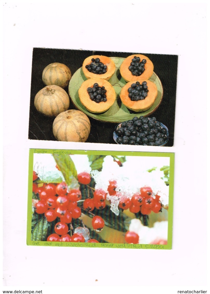 Lot de 8 cartes "FRUITS"