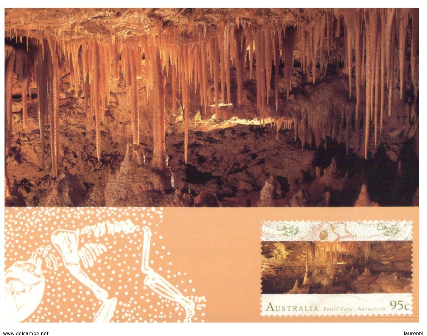 (G 12) Australia - Maxicard - Naracoote Fossil Cave - Autres & Non Classés
