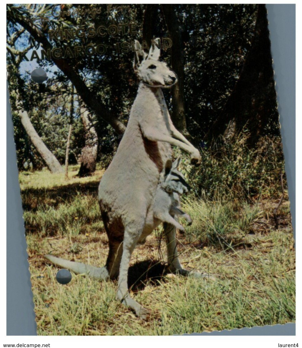 (G 12) Australia - SA - Kangaroo Island (Kingscote) Kangaroo With Joey (with 2 Holes) - Kangaroo Islands