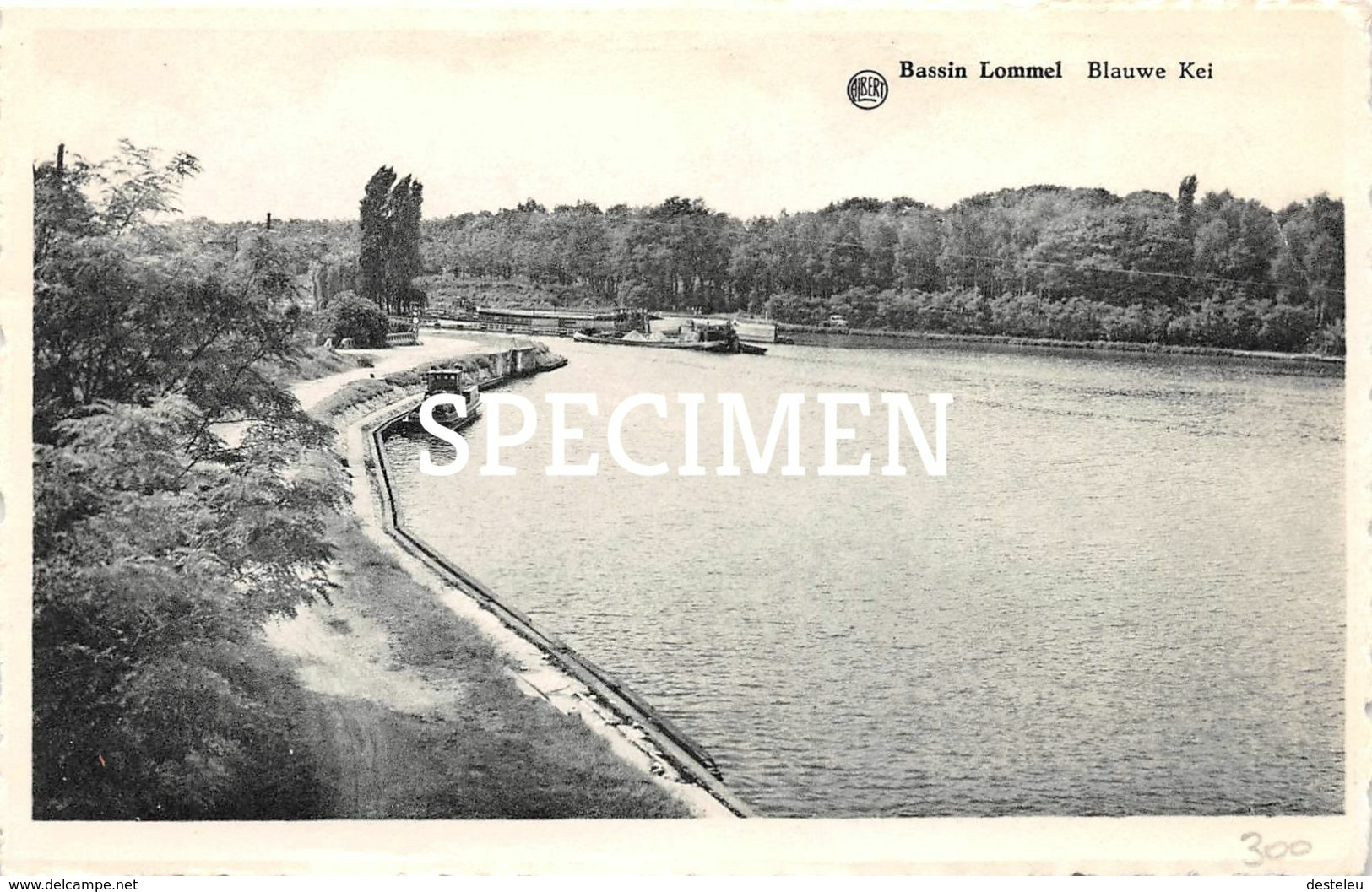 Blauwe Kei -  Bassin Lommel - Lommel